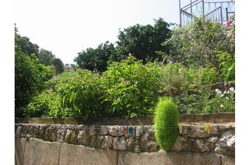 Family pension Jelsa 10